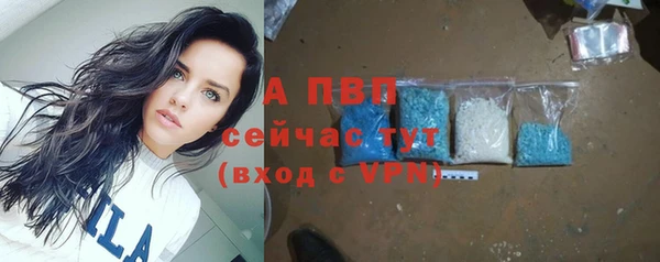 каннабис Богданович