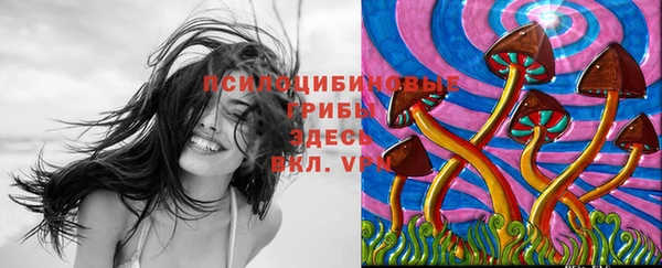 2c-b Богородицк