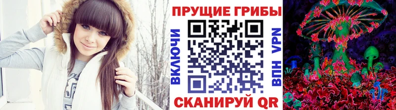 Псилоцибиновые грибы MAGIC MUSHROOMS  закладка  Острогожск 